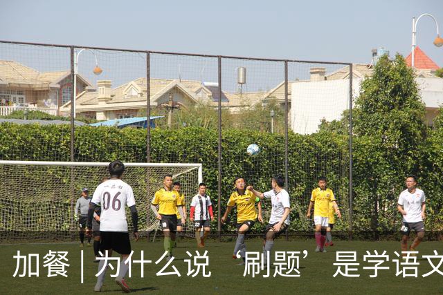 加餐 | 为什么说‘刷题’是学语文最绕的路？