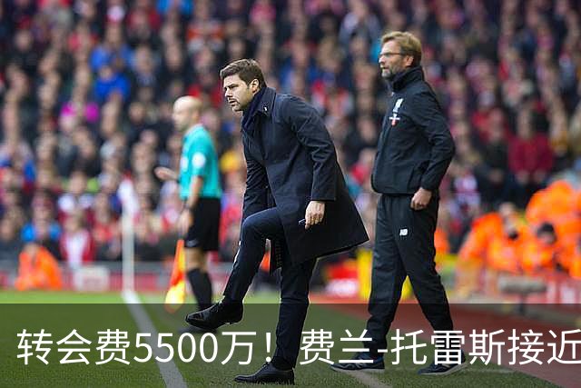 转会费5500万！费兰-托雷斯接近加盟大巴黎，罗德里加盟巴萨进入倒计时